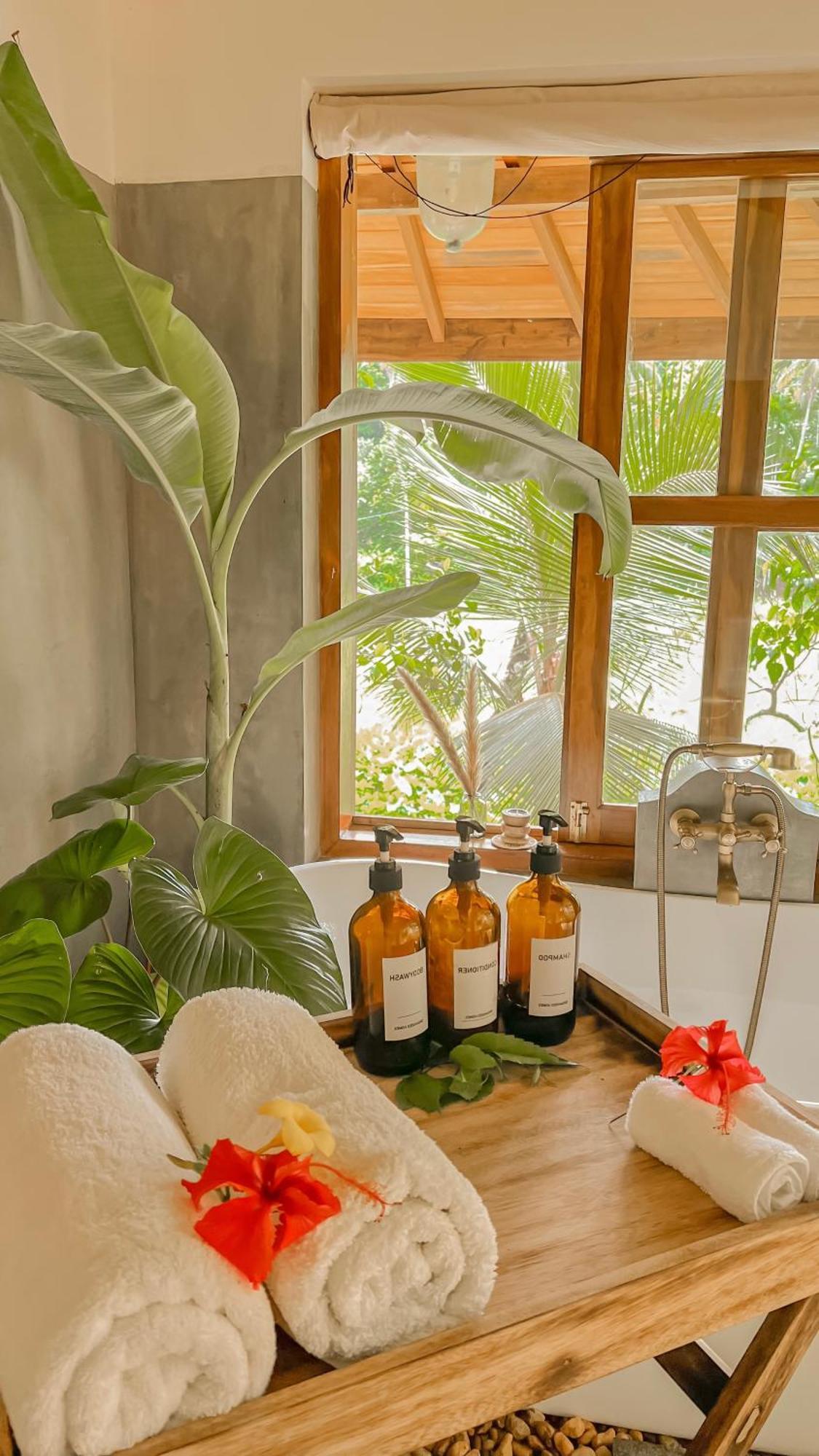 The Jungle Loft Галле Экстерьер фото