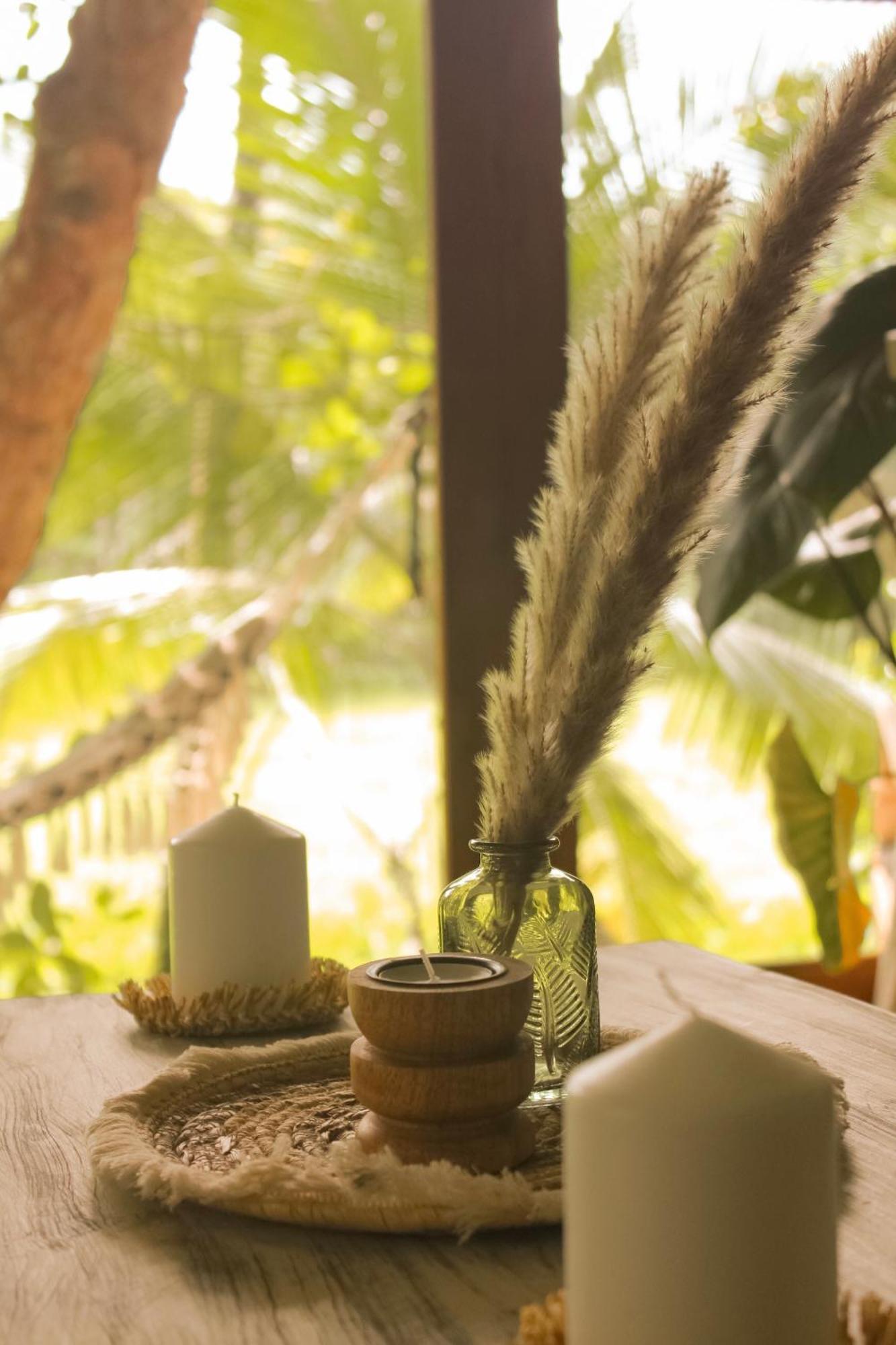 The Jungle Loft Галле Экстерьер фото
