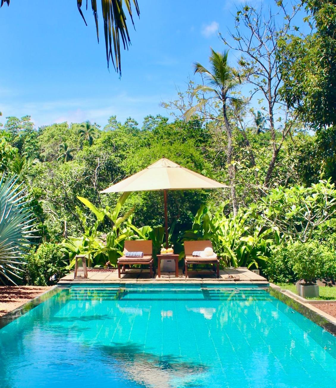 The Jungle Loft Галле Экстерьер фото