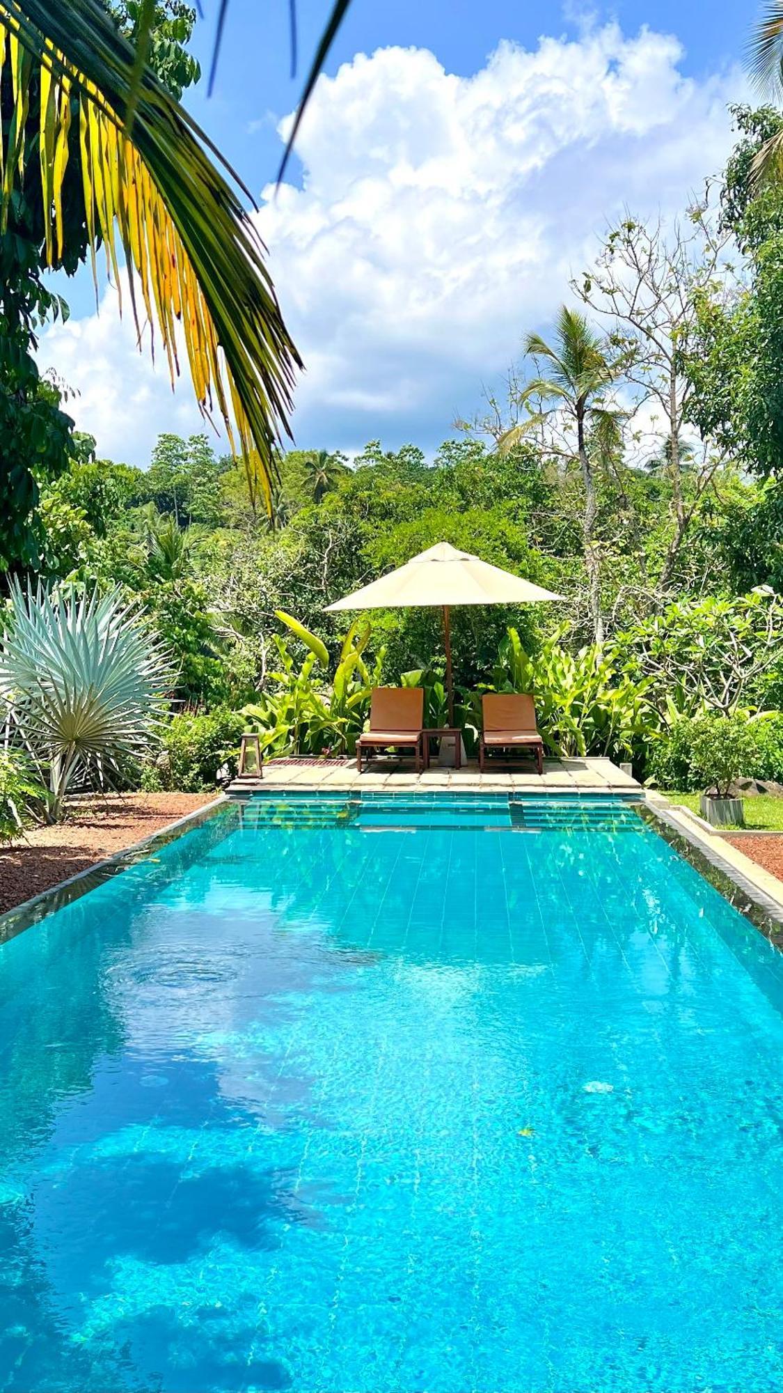 The Jungle Loft Галле Экстерьер фото